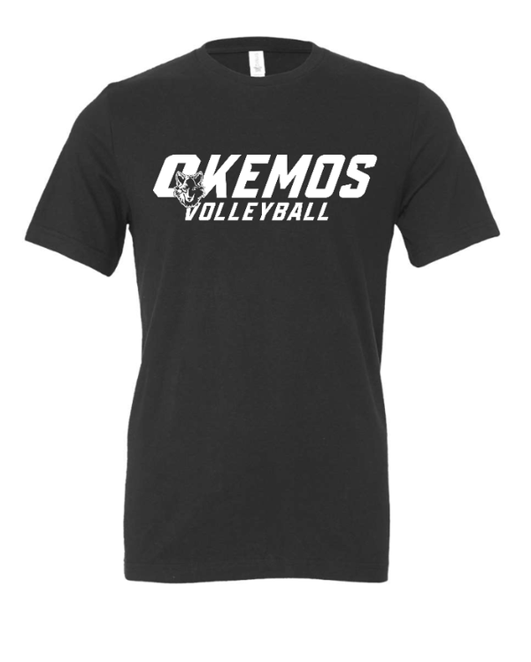 Custom Apparel - Screen Printing - CMS Okemos Volleyball - Adult Unisex T-Shirt Blue/ Maroon/ Dk Grey PERSONALIZATION AVAILABLE - CMS Okemos Volleyball - 16494