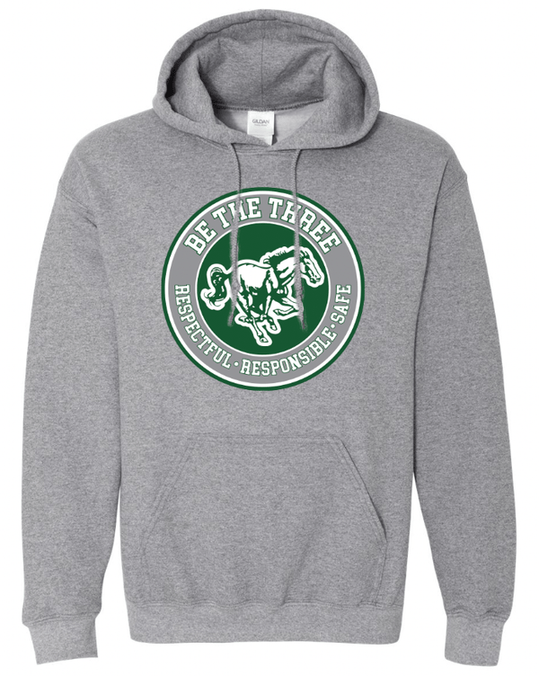 Custom Apparel - Screen Printing - Coopersville - Be The Three - Adult Heavy Blend Hoodie (Forest / Graphite) - Coopersville - Be the Three - 16774