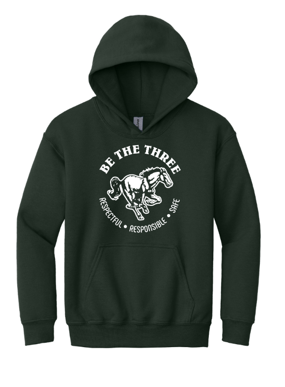 Custom Apparel - Screen Printing - Coopersville - Be the Three - Youth Heavy Blend Hoodie (Dark Grey / Forest) - Coopersville - Be the Three - 16774