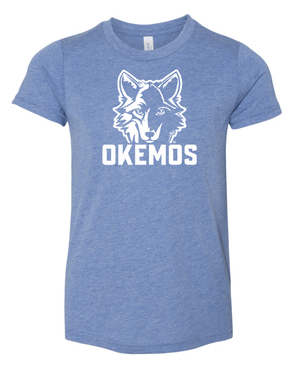 Custom Apparel - Screen Printing - Cornell Back to School - Youth Blue Triblend T-shirt - Cornell Back to School - 16174