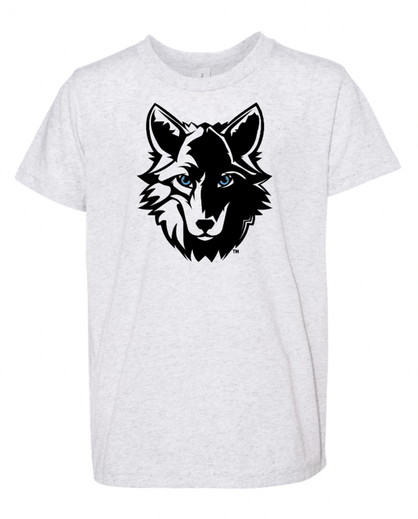 Custom Apparel - Screen Printing - Cornell Back to School - Youth Triblend Tee - Cornell Back to School - 16047