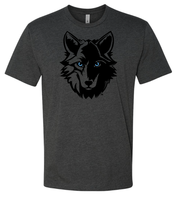 Custom Apparel - Screen Printing - Cornell Elementary 2024 - Adult Unisex Black T-Shirt - Cornell 2024 - 15376