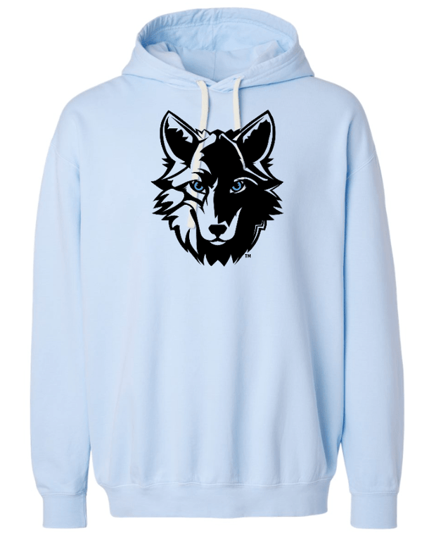 Custom Apparel - Screen Printing - Cornell Elementary 2024 - Adult Unisex Blue Hooded Sweatshirt - Cornell 2024 - 15376