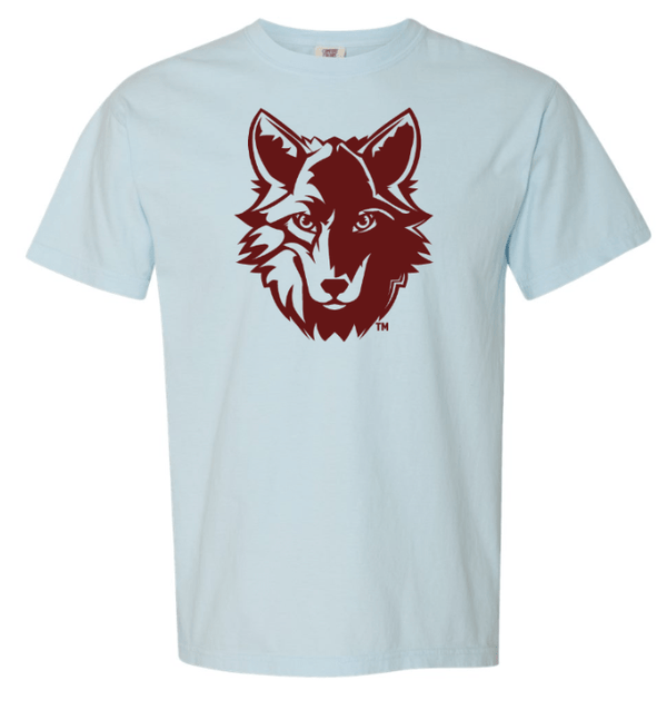 Custom Apparel - Screen Printing - Cornell Elementary 2024 - Adult Unisex Blue T-Shirt - Cornell 2024 - 15376