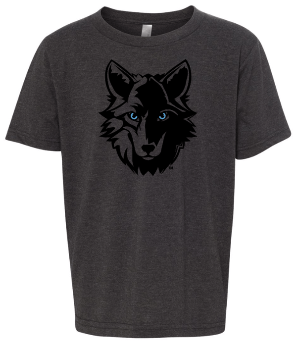 Custom Apparel - Screen Printing - Cornell Elementary 2024 - Youth Black T-Shirt - Cornell 2024 - 15376