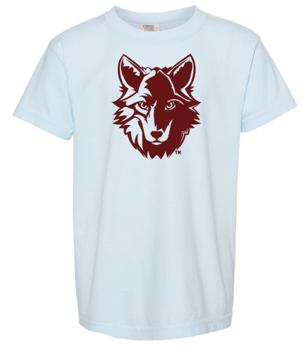 Custom Apparel - Screen Printing - Cornell Elementary 2024 - Youth Unisex Blue T-Shirt - Cornell 2024 - 15376