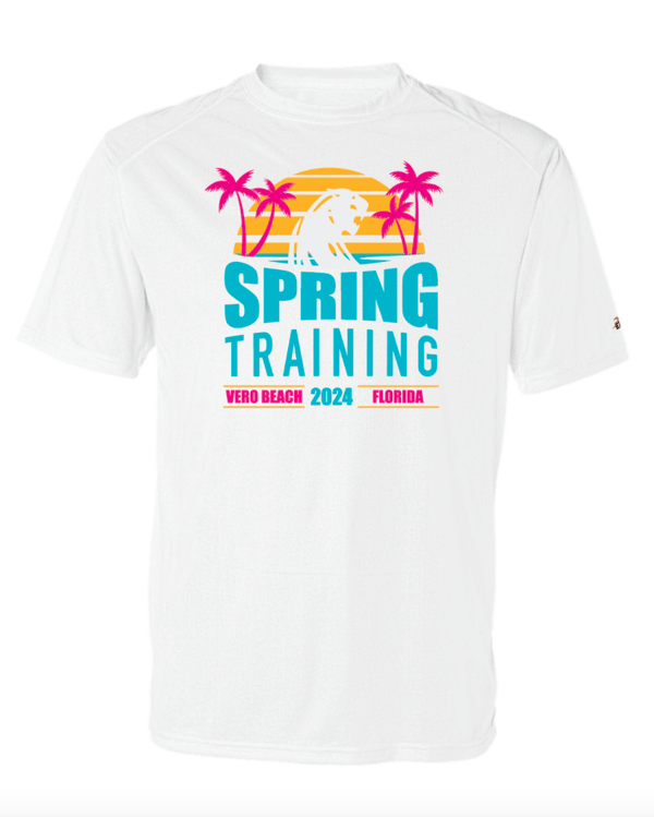 Custom Apparel - Screen Printing - DeWitt Dugout Club - Women's Performance T-Shirt - DeWitt Dugout Club - 15345