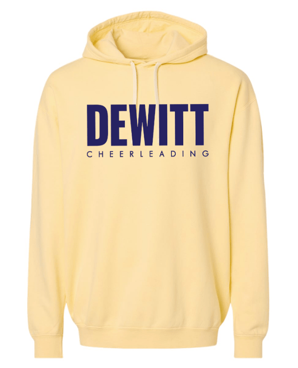 Custom Apparel - Screen Printing - DeWitt Jr. Panthers Competitive Cheer - Adult Unisex Comfort Colors Lightweight Hoodie - DeWitt Jr. Panthers Competitive Cheer - 17099