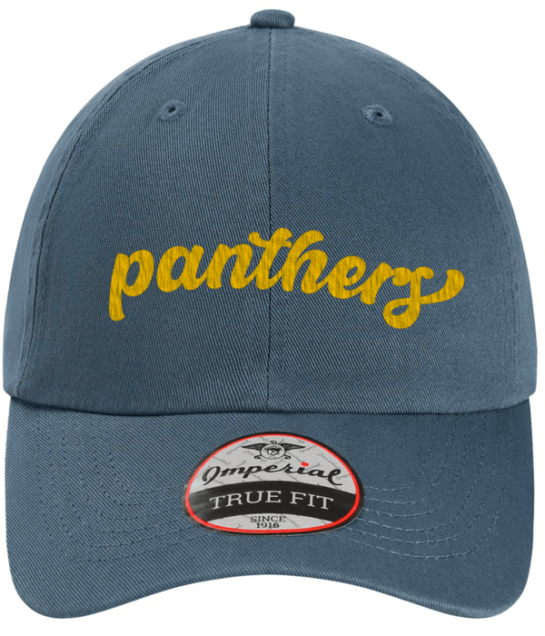 Custom Apparel - Screen Printing - DeWitt Middle School - Panthers Dad Cap - DeWitt Middle School - 16570