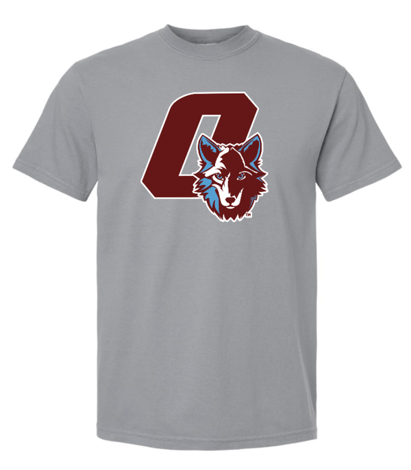 Custom Printed Apparel | Hiawatha Back to School 2025 - Adult Heavyweight T-Shirt (Chambray/Granite) - Hiawatha Back to School 2025 - 18289