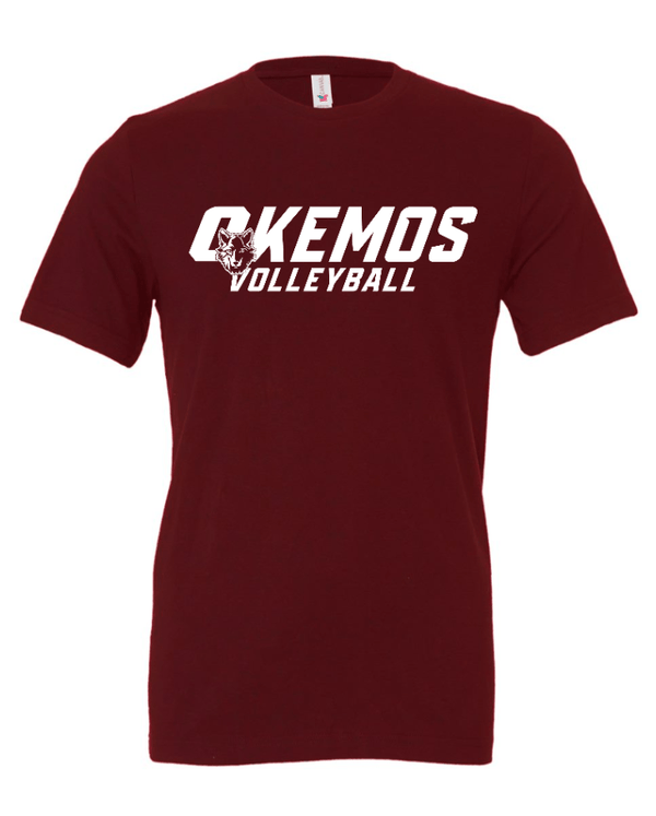 Custom Apparel - Screen Printing - Okemos Volleyball 2024 - Adult T-Shirt Blue/ Maroon/ Grey Customizable - Okemos Volleyball 2024 - 16403