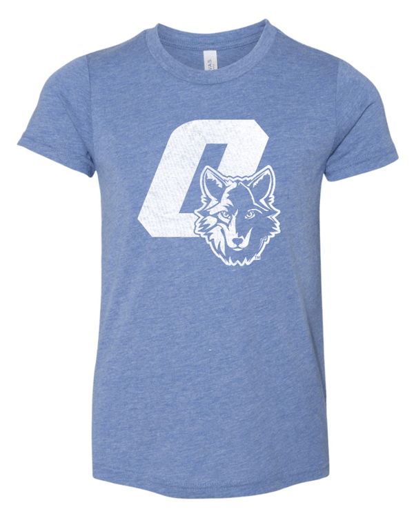 Custom Apparel - Screen Printing - Okemos Wolves Community - Youth Triblend T-Shirt ("O" With Wolf Design) - Okemos Wolves Community - 16314