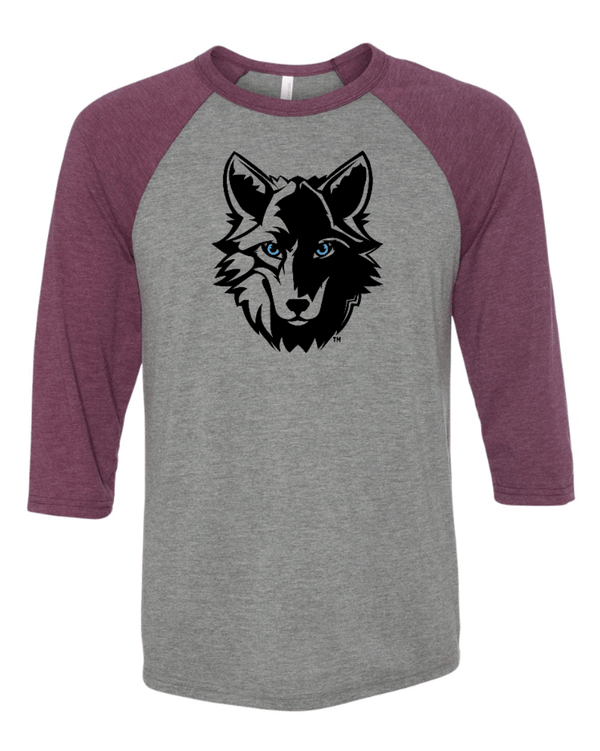 Custom Apparel - Screen Printing - Walk on Wellness - Unisex Adult 3/4 Baseball T-Shirt - Walk on Wellness - 15066