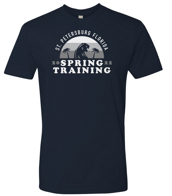 DEWITT BASEBALL - ST SUNSET UNISEX T-SHIRT