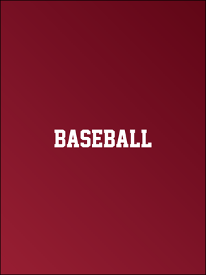 Portland Baseball - Fabricated Customs