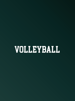 St. Patrick Volleyball - Fabricated Customs
