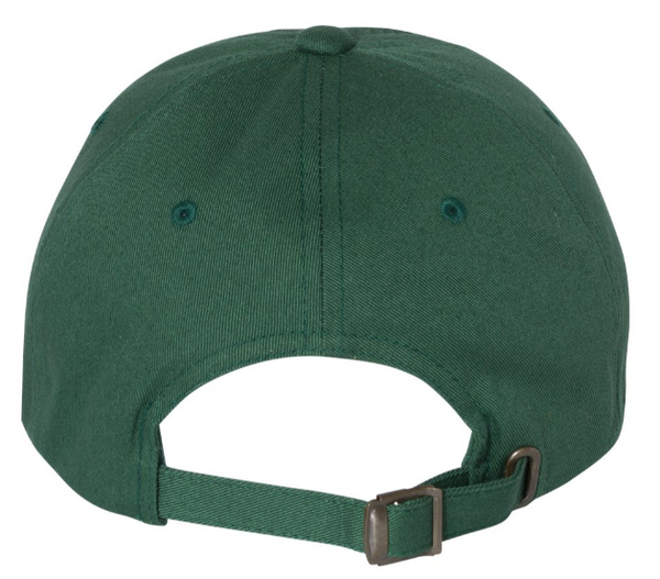 Back view of green Great Lakes Dad Hat