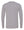 St. Johns Warriors for Christ Long Sleeve Heather Grey back view