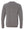 Eaton Rapids Fall Preorder Crewneck Grey Triblend back view