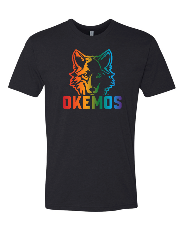 Hiawatha PTO - Adult Unisex Rainbow T-Shirt