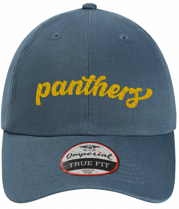 DeWitt Middle School - Panthers Dad Cap