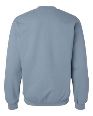 MYOI Allegan/Barry Fall Fundraiser Crewneck Stone Blue back view
