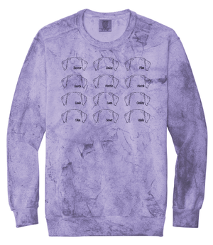 Custom Printed Apparel | Adult Unisex Custom Crewneck - Multiple Designs Available | South Lyon Educational Foundation - SL Edu. Foundation - 19148