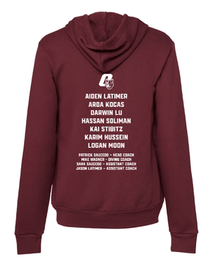 Custom Printed Apparel | Adult Unisex Custom Hoodie | Okemos Swim & Dive 2026 State Team - OHS 26 State Swim - 19040