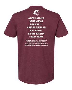 Custom Printed Apparel | Adult Unisex Custom T-Shirt | Okemos Swim & Dive 2026 State Team - OHS 26 State Swim - 19040