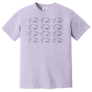 Custom Printed Apparel | Adult Unisex T-Shirt - Multiple Designs Avaliable | South Lyon Educational Foundation - SL Edu. Foundation - 19148