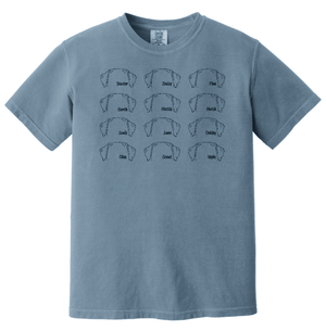 Custom Printed Apparel | Adult Unisex T-Shirt - Multiple Designs Avaliable | South Lyon Educational Foundation - SL Edu. Foundation - 19148
