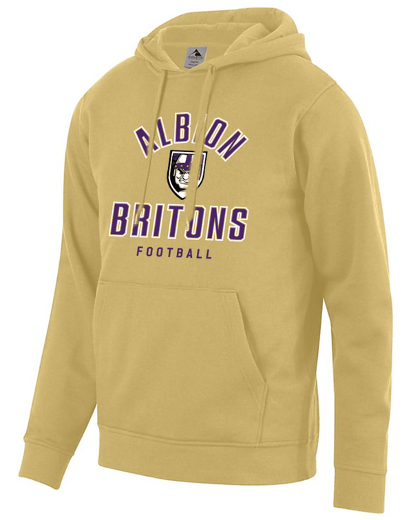Custom Printed Apparel | Albion Football Fall 2025 - Gold Fleece Hooded Sweatshirt - Albion Football Fall 2025 - 18291