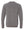 Eaton Rapids Fall Preorder Crewneck Grey Triblend back view