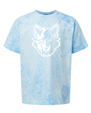 Custom Apparel - Screen Printing - Bennett Woods Elementary - Youth Heavyweight T-Shirt - Bennett Woods Elementary - 17612