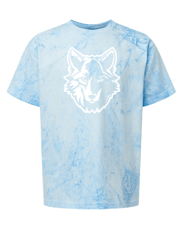 Custom Apparel - Screen Printing - Bennett Woods Elementary - Youth Heavyweight T-Shirt - Bennett Woods Elementary - 17612