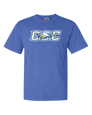 Custom Apparel - Screen Printing - Carson City - Heavyweight T-Shirt - Carson City HS - 15698
