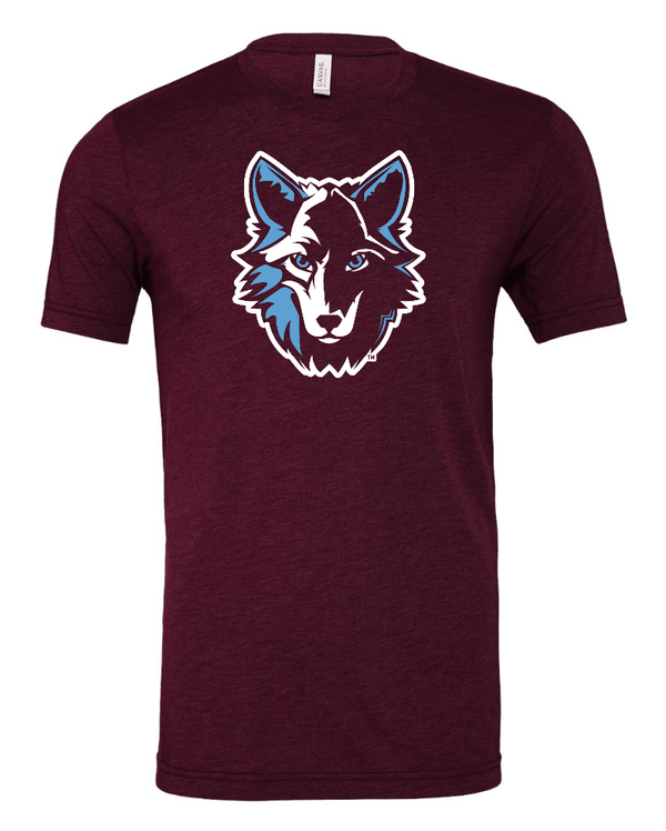 Custom Apparel - Screen Printing - Chippewa Middle School - Adult Unisex Triblend Tee - Chippewa Middle School - 15039