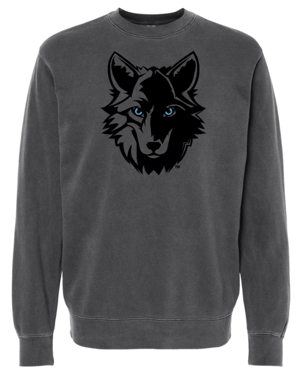 Custom Apparel - Screen Printing - Cornell Elementary 2024 - Adult Unisex Black Crewneck Sweatshirt - Cornell 2024 - 15376