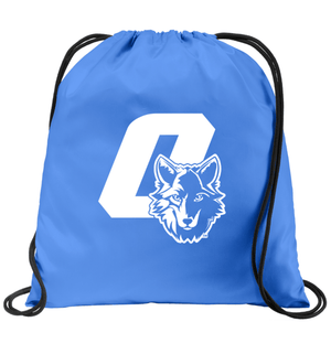 Custom Printed Apparel | Custom Bag - Carolina Blue Drawstring | Cornell Elementary - Cornell - 19125