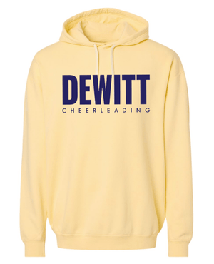 Custom Apparel - Screen Printing - DeWitt Jr. Panthers Competitive Cheer - Adult Unisex Comfort Colors Lightweight Hoodie - DeWitt Jr. Panthers Competitive Cheer - 17099