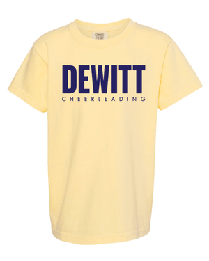 Custom Apparel - Screen Printing - DeWitt Jr. Panthers Competitive Cheer - Youth Garment Dyed Heavyweight T-Shirt - DeWitt Jr. Panthers Competitive Cheer - 17099