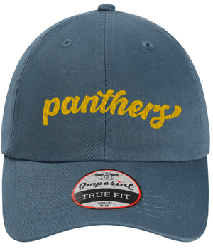 Custom Apparel - Screen Printing - DeWitt Middle School - Panthers Dad Cap - DeWitt Middle School - 16570