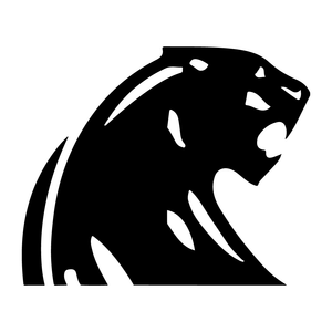 Custom Apparel - Screen Printing - DeWitt Public Schools - Digital Download - Fabricated Customs