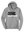 Custom Printed Apparel | EFHS Unified Sports | Adult Unisex Hoodie - Multiple Colors + Designs - EFHS Unified Sports W26 - 18958