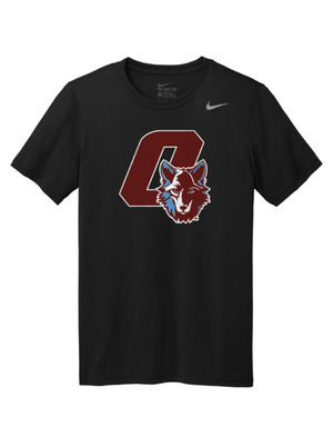 Custom Printed Apparel | FULFILLMENT | OKEMOS WOLVES | Nike Team Legend Tee - Okemos Public Schools