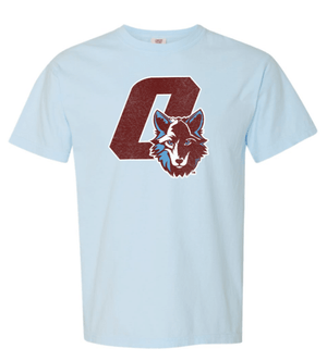 Custom Printed Apparel | FULFILLMENT | OKEMOS WOLVES - Unisex Heavyweight T-Shirt - Okemos Public Schools