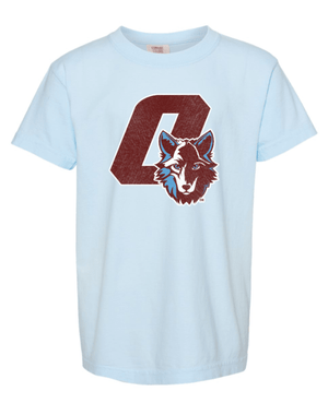 Custom Printed Apparel | FULFILLMENT | OKEMOS WOLVES - Youth Garment Dyed Heavyweight T-Shirt - Okemos Public Schools