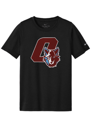 Custom Printed Apparel | FULFILLMENT | OKEMOS WOLVES - Youth Nike Swoosh Sleeve Legend T-Shirt - Okemos Public Schools