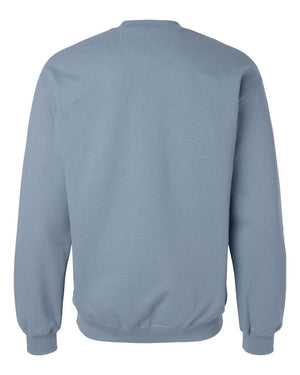 MYOI Allegan/Barry Fall Fundraiser Crewneck Stone Blue back view