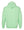 Delta Dance Connection - General Hoodie Mint Green back view